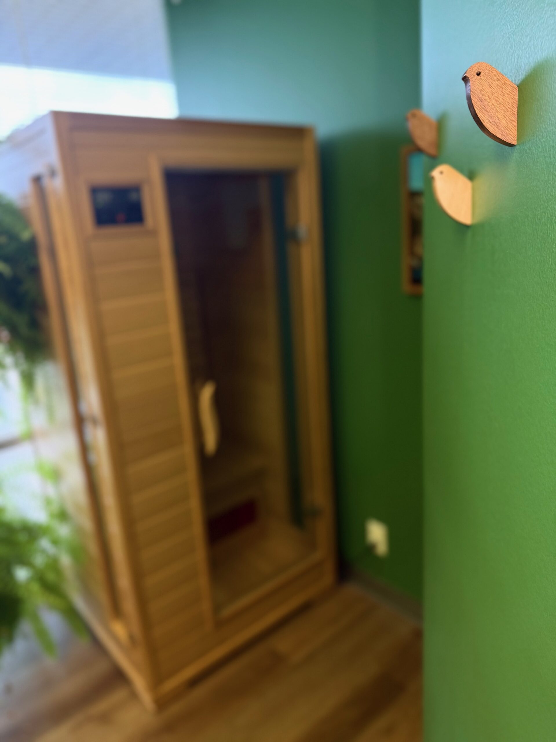 The infrared sauna at Burns Family Wellness Care