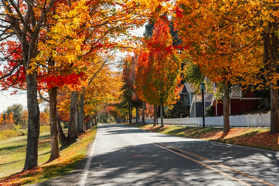 Tree-lined street with autumn foliage in a Fox Valley neighborhood