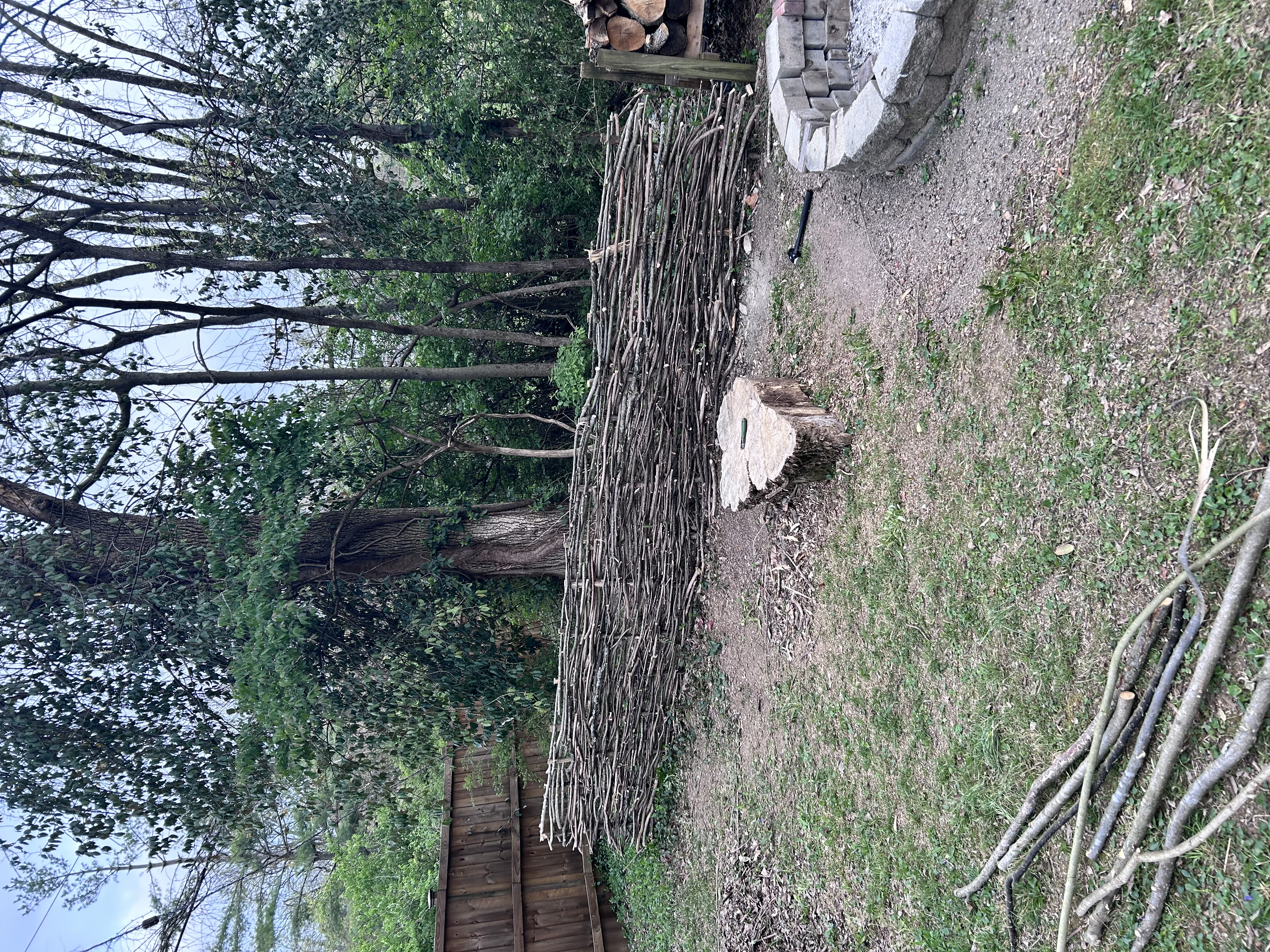 An ancient wattle fence woven from branches and stakes, standing in a natural landscape