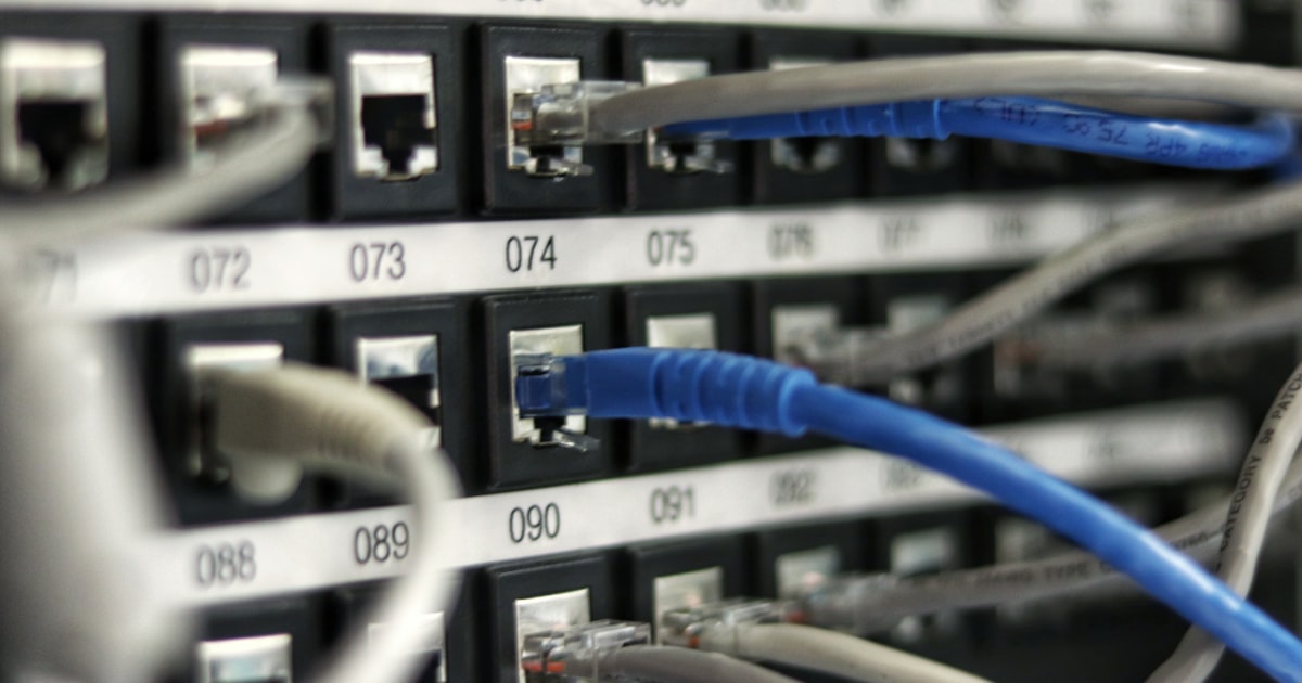 Ethernet network cables plugged into a switch
