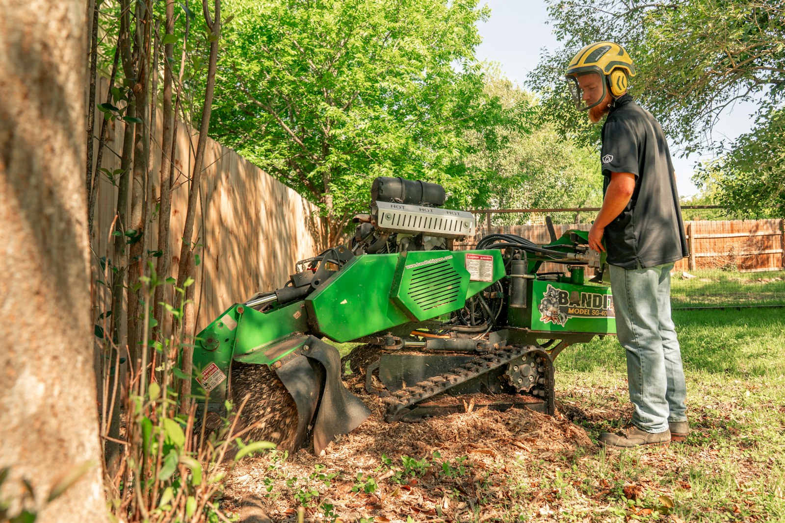 Stump Grinding by Timber Tree Experts