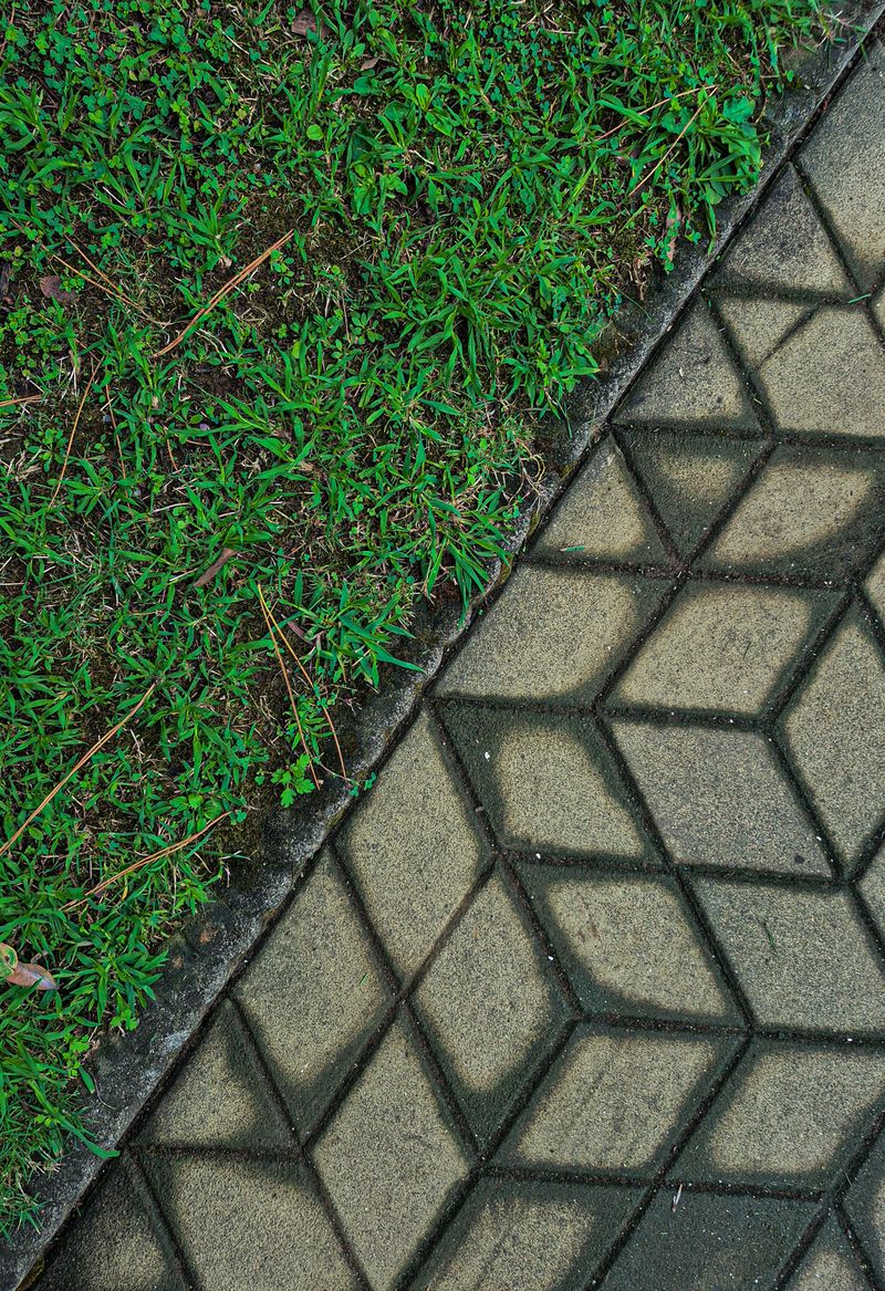 Clean lawn edge along stone walkway showing crisp boundary line