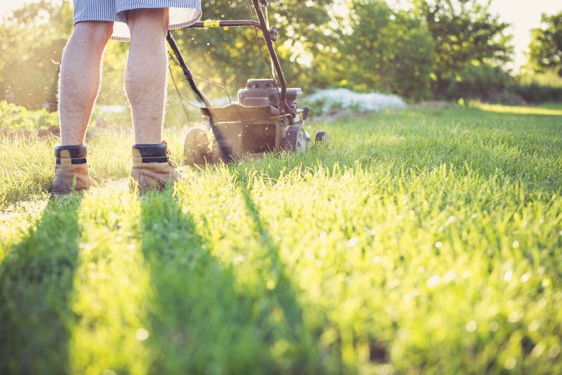 Professional lawn mowing with push mower on residential property