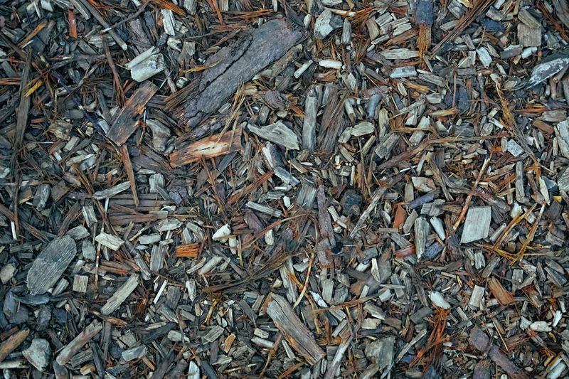 Fresh wood chip mulch applied to garden bed