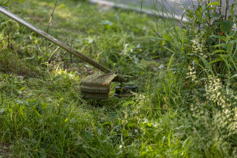 String trimmer cutting grass along fence line